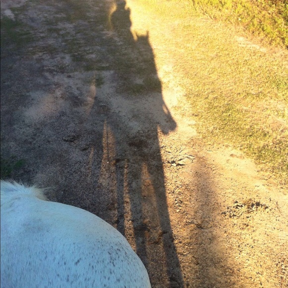 Meet your Posher, Cinthia - Picture 1 of 1